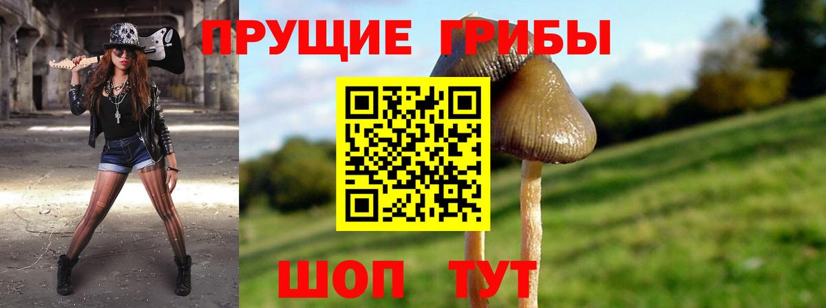 Псилоцибиновые грибы MAGIC MUSHROOMS Балашов
